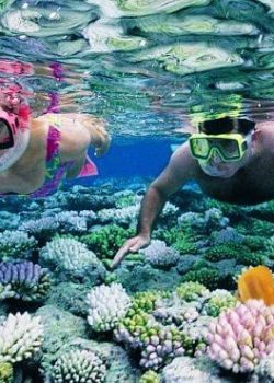snorkeling-in-andaman